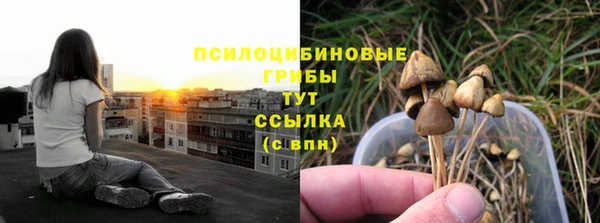 мет Коряжма