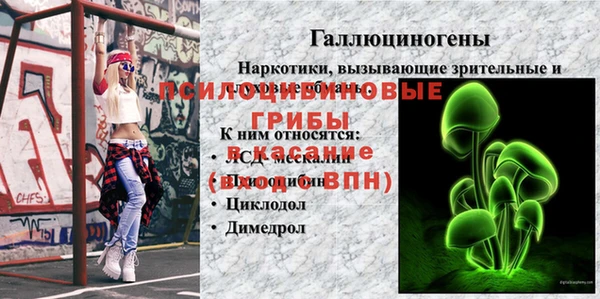 стафф Костерёво