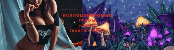 мет Коряжма