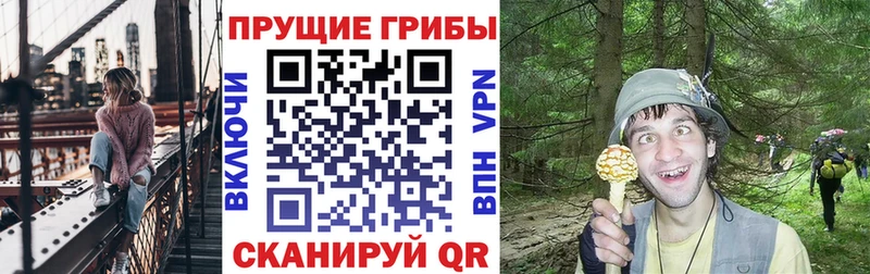 Купить  Володарск  Галлюциногенные грибы GOLDEN TEACHER 